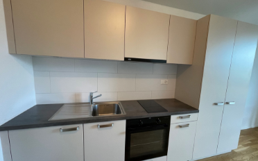 Furnished flat 1 room - image - 5