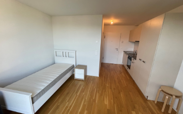 Furnished flat 1 room - image - 3