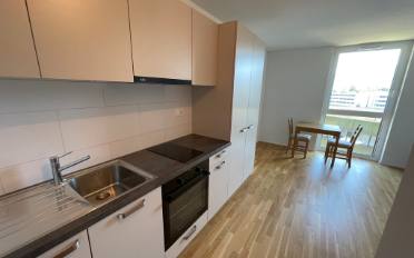 Furnished flat 1 room - image - 4