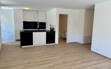 Appartement 4.5 pièces - image - 2