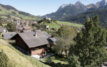 Chalet 9 pièces - image - 10