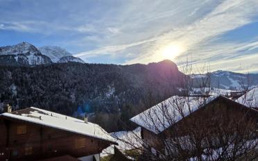 Wohnung 2.5 Zimmer - image - 10