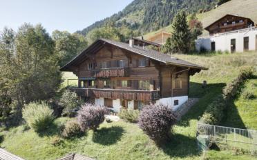 Chalet 9 Zimmer - image - 1