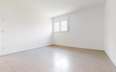Wohnung 3.5 Zimmer - image - 7