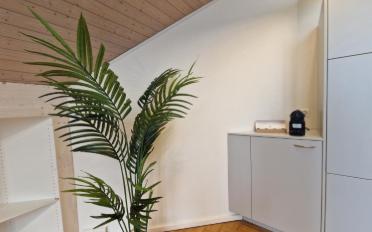Wohnung ein Zimmer - image - 9