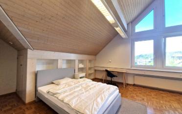 Wohnung ein Zimmer - image - 4