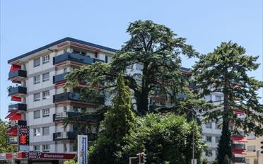 Pièce pour les hobbys - image - 1