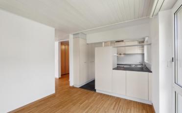 Attic flat 3.5 rooms - image - 6