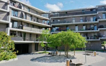 Wohnung 4 Zimmer - image - 8