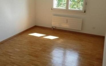 Apartment 2.5 rooms - image - 1