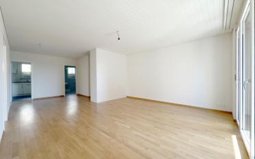 Wohnung 3.5 Zimmer - image - 3