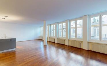 Loft 1 pièce - image - 5
