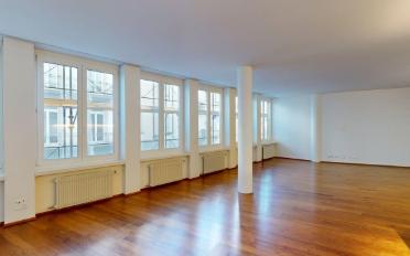Loft 1 pièce - image - 6