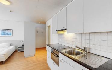 Apartment 1 room - image - 6
