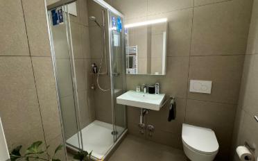 Apartment 2.5 rooms - image - 10