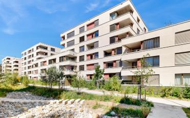 Apartment 2.5 rooms - image - 6