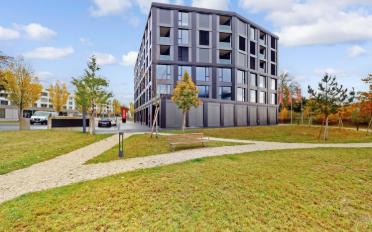 Wohnung 3.5 Zimmer - image - 1