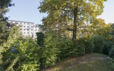 Apartment 5 rooms - image - 2