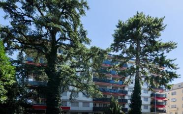 Wohnung 2 Zimmer - image - 2