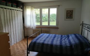 Apartment 2.5 rooms - image - 3