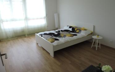 Appartement 4.5 pièces - image - 4