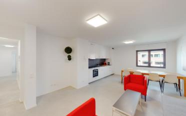 Apartment 1.5 rooms - image - 3