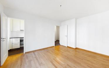 Apartment 1 room - image - 4
