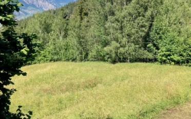 Building land - image - 3