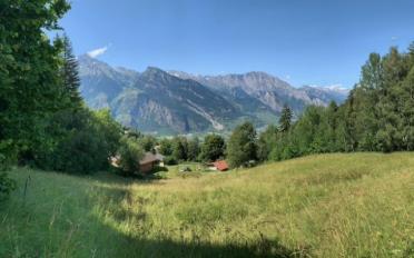 Building land - image - 1