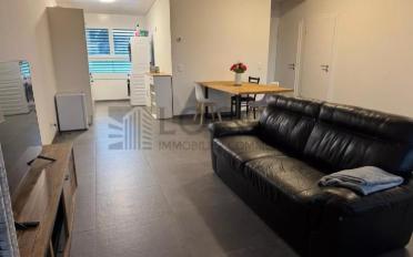 Single room 1 room - image - 9