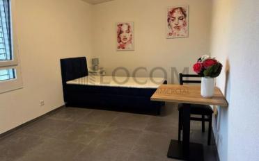 Single room 1 room - image - 1