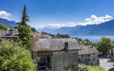 Wohnung 3.5 Zimmer - image - 2