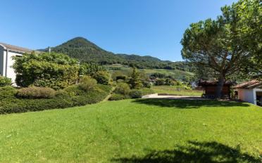 Single house - image - 5