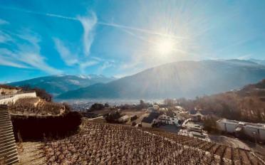 Villa 5.5 Zimmer - image - 2