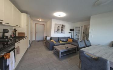 Wohnung 2.5 Zimmer - image - 2