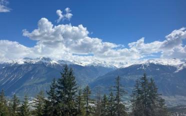 Wohnung 4.5 Zimmer - image - 2