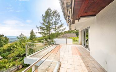Single house 10 rooms - image - 6