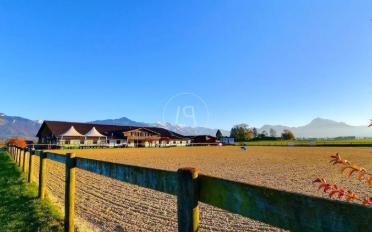 Einfamilienhaus 12 Zimmer - image - 2