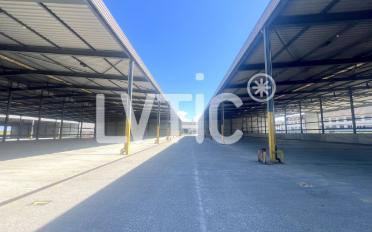 Lager - image - 7