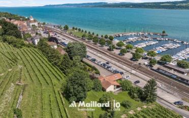 Single house 12 rooms - image - 4