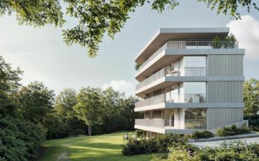 Apartment 2.5 rooms - image - 6