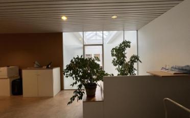 Office 18 rooms - image - 3