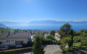 Maison jumelée 5.5 pièces - image - 2