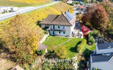 Single house 11 rooms - image - 4