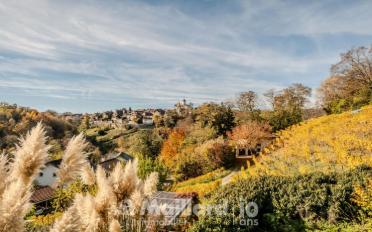 Single house 11 rooms - image - 6