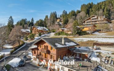 Chalet 9 pièces - image - 1