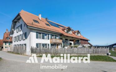 Wohnung 3.5 Zimmer - image - 10