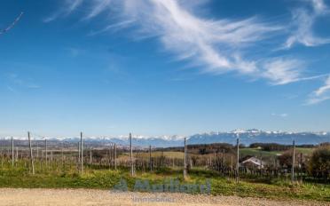 Single house 5.5 rooms - image - 6