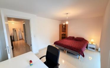 Duplex 3.5 rooms - image - 7