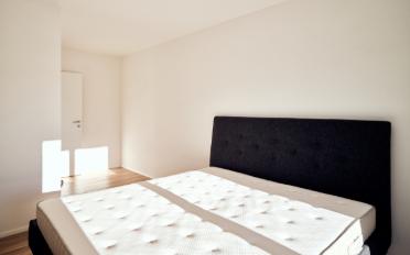 Appartement 2.5 pièces - image - 5